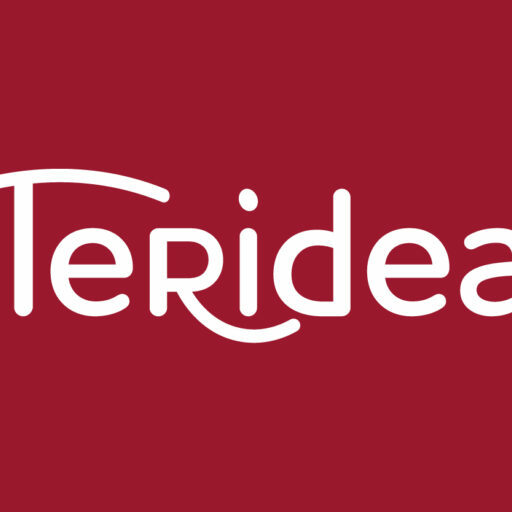 logo_terideal_1